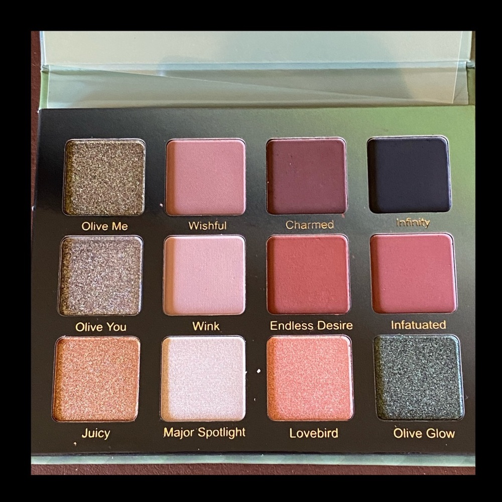 ❤️NWT❤️ VIKOET boss 12 palette eyeshadows
